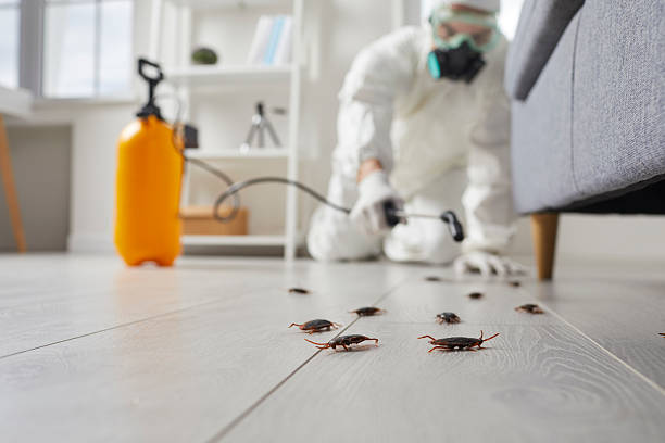 Commercial Kitchen Cockroach Control in Kennett Square